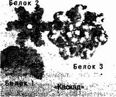 Буфер обмена-1 4.jpg