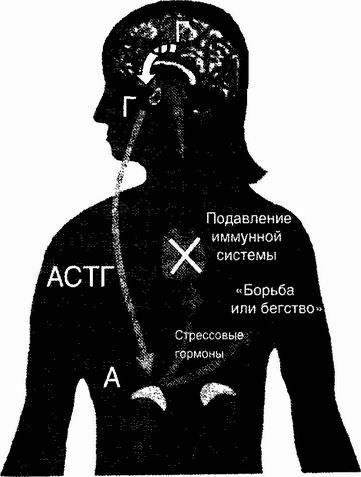 Буфер обмена-9.jpg