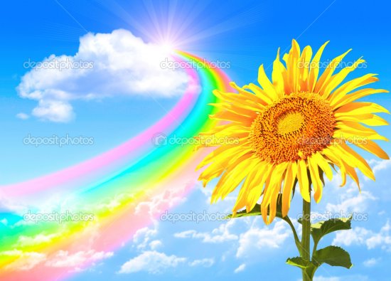 depositphotos_38771201-stock-photo-rainbow-and-sunflower.jpg