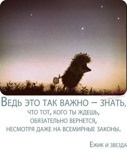 2533518532.jpg