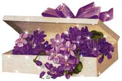 др1.gif