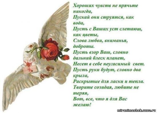 гголубь розы.jpg