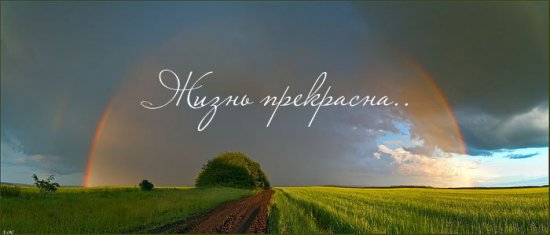 жизнь прекрасна.jpg