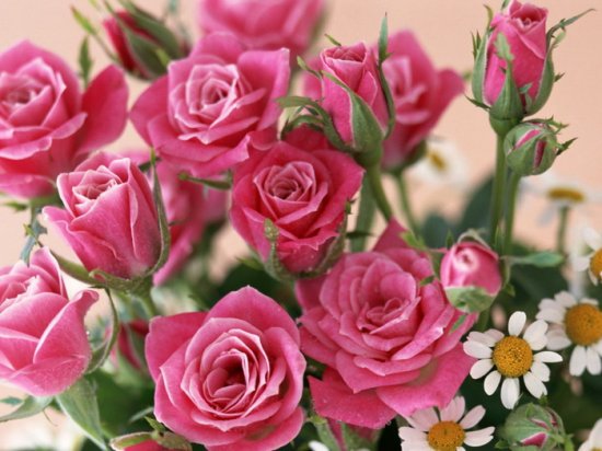 0_8eb90_e2d7570d_XL.jpg